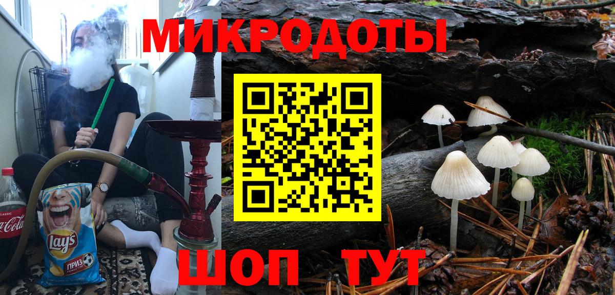 Галлюциногенные грибы Psilocybine cubensis Зеленогорск