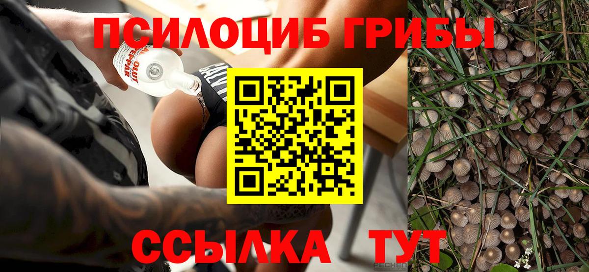 Псилоцибиновые грибы GOLDEN TEACHER  Вход с VPN  Зеленогорск 